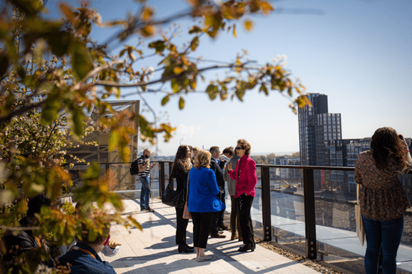 Salesforce Tower Dublin Balcony