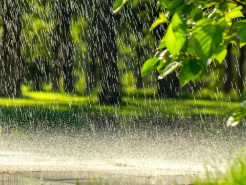 Met Éireann awards €2.8m to scientists addressing climate, flood risks