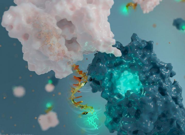 DNA
