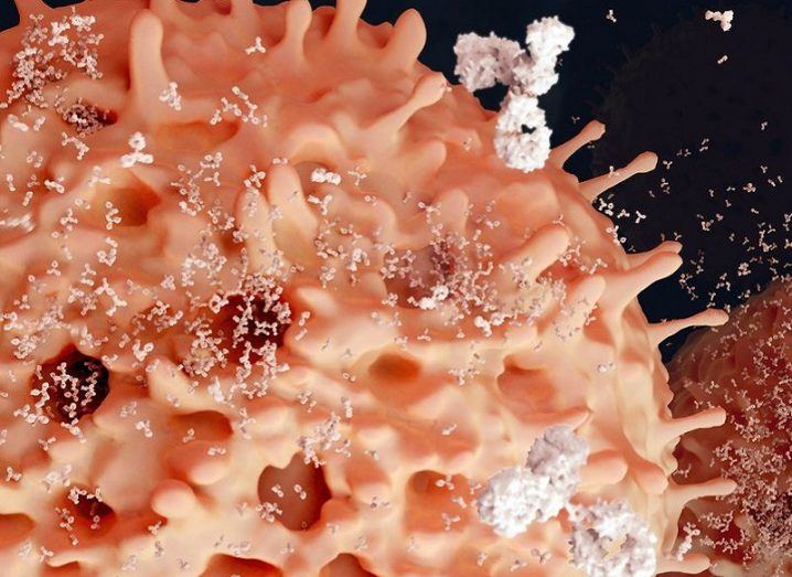 blood-cancer