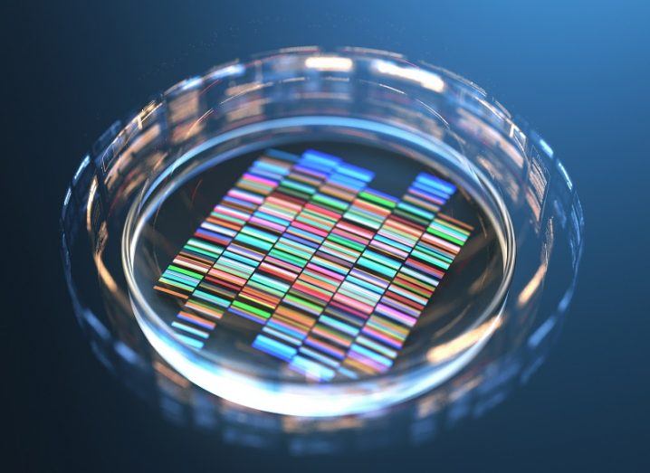 CRISPR