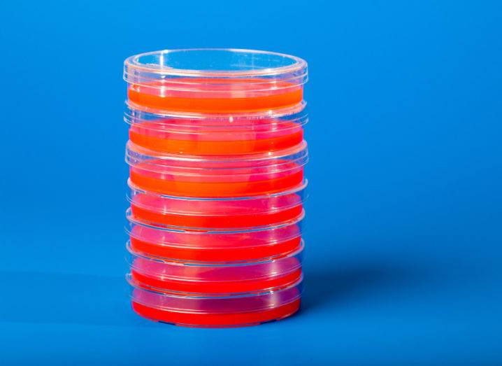 Sepsis-treatment