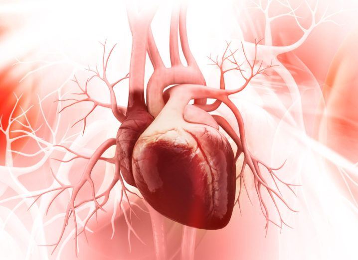 heart