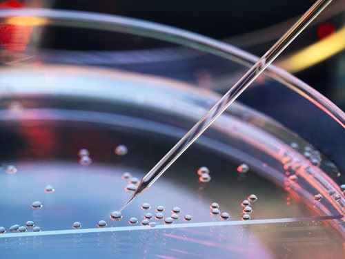 Syringe on petri dish