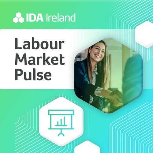 Labour Market Pulse Edition 7